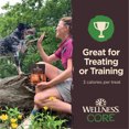 thumbnail image 2 of Wellness CORE Tiny Trainers Dog Treats, Natural, Training Treat, Grain Free, Lamb & Apple (6 Ounce Bag), 2 of 7
