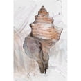 thumbnail image 3 of Butcher, Sarah 11x14 Black Modern Framed Museum Art Print Titled - Geo Shell 2, 3 of 5