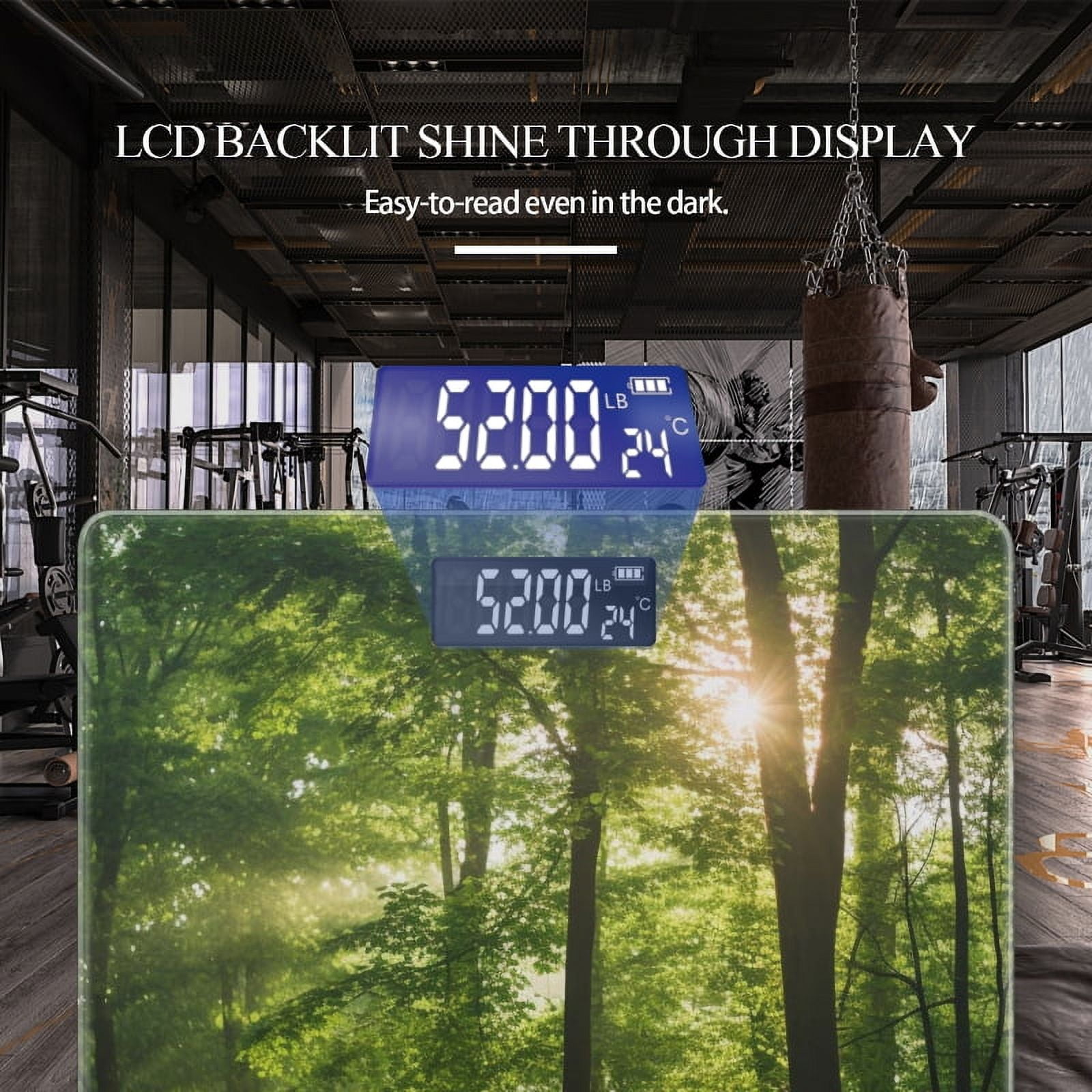Digital Bathroom Scale with Large LCD Display,High Capacity Scale 400 lbs High Precision body fat scale-Forest Scene With Trees And Sunlight Filtering Through The Leaves