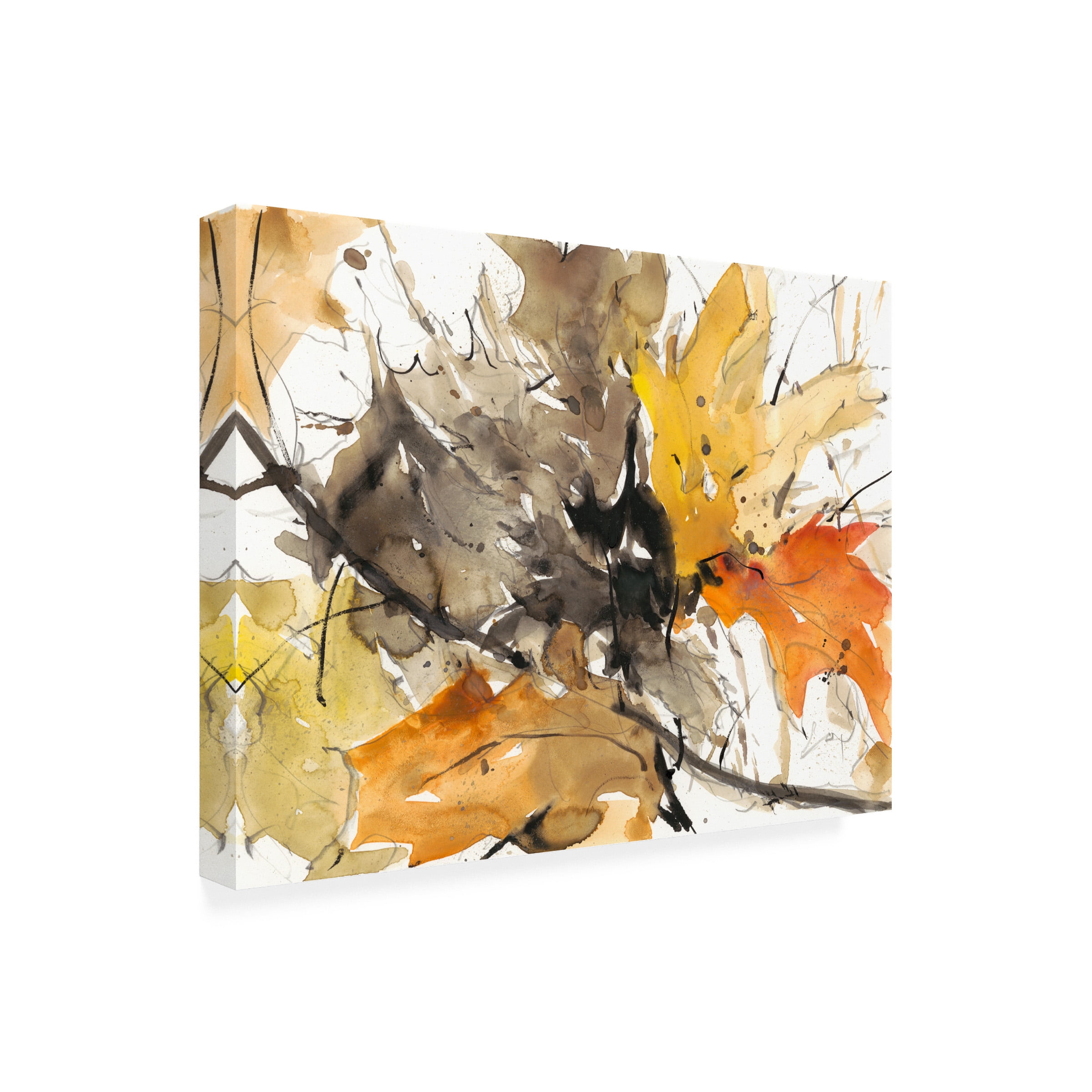 Samuel Dixon 'Watercolor Autumn Leaves II' Canvas Art