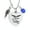 Blue, variant on Heart Urn Necklace for Ashes Birthstones Cremation Jewelry for Ashes Stainless Steel Ash Necklace Memorial Ash Holder