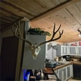 thumbnail image 5 of European Deer Mount Hanger, Heavy-Duty Polished Stainless Steel Hanger, Easy Install with All Hardware for Deer Head and Other Smaller Animal Skulls Indoor Outdoor Display, 5 of 5