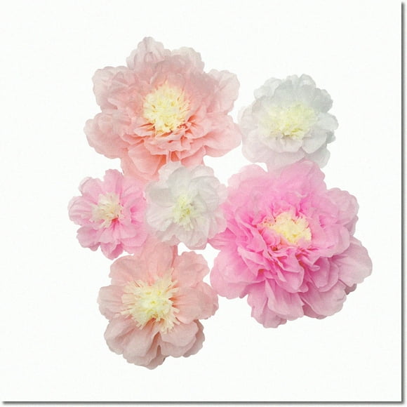 Baby Blossom Party Pack - Blush Pink Paper Flower Backdrop for Nursery, Birthday, Baby Shower - 6 Assorted Pink Tissue Pom Poms (20''-10'')