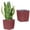 Coffee, variant on Tall Planters for Outdoor Plants,Large Planters for Outdoor Plants,Rattan Decor Plant Pots for Indoor Outdoor Front Porch Patio Backyard(Brown)