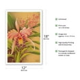 thumbnail image 2 of Pink Cattleya Orchid Hawaii - Vintage Hawaiian Airbrush Art by Frank Oda (Hale Pua Studio) c.1940s - Master Art Print (Unframed) 12in x 18in, 2 of 4