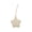 Beige, variant on Silicone Pacifier Holder Case, Baby Silicone Pacifier Case Holders for Diaper Bag, Star Shaped Pacifier Pouch Container for Outdoor Use, Easy Clean - Green