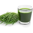 Handy Pantry HJ Hurricane Stainless Steel Manual Wheatgrass Juicer