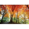 thumbnail image 4 of Lars Van de Goor 24x17 Black Modern Wood Framed Wall Art Titled - Prism of Light, 4 of 6