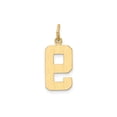 thumbnail image 3 of 14K Gold Medium Polished Number 9 Charm, 3 of 4