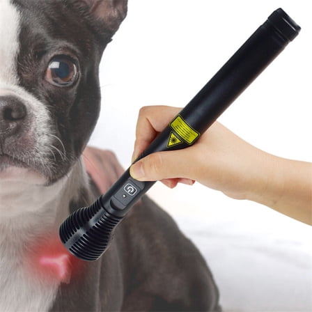 1000mW 808nm NIR Light Therapy Device for Discomfort Relief in Humans and Pets