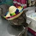 thumbnail image 5 of Dog Sombrero Hat Pet Adjustable Sun Hat Cute Woven Straw Hat Costume for Puppy and Cats, 5 of 7