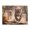 1000 Pieces, variant on 500-Piece Wooden Jigsaw Puzzle for Adults & Families - Roaring Lions Running Wild , Fun & Educational Brain-Teasing Game, Artistic Home Decor