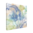 thumbnail image 2 of Alonzo Saunders 'Tranquil Smoke II' Canvas Art, 2 of 3