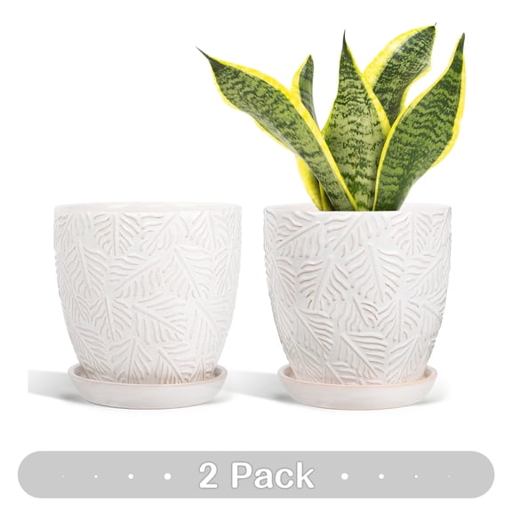 EFISPSS 6 inch White Ceramic Plant Pots with Drainage & Saucer, Natural Boho Crackle Glaze, Indoor/Outdoor Flower Planter, 2 Pack