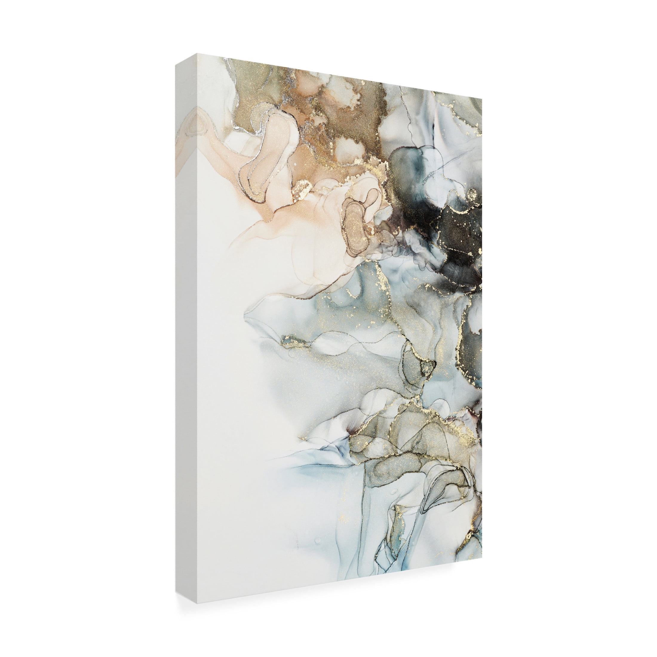 Canvas Wall Art - Incado 'Cosmos II' Wall Art for Living Room, Bedroom, or Office Décor by Trademark Fine Art - 30 x 47 Inches