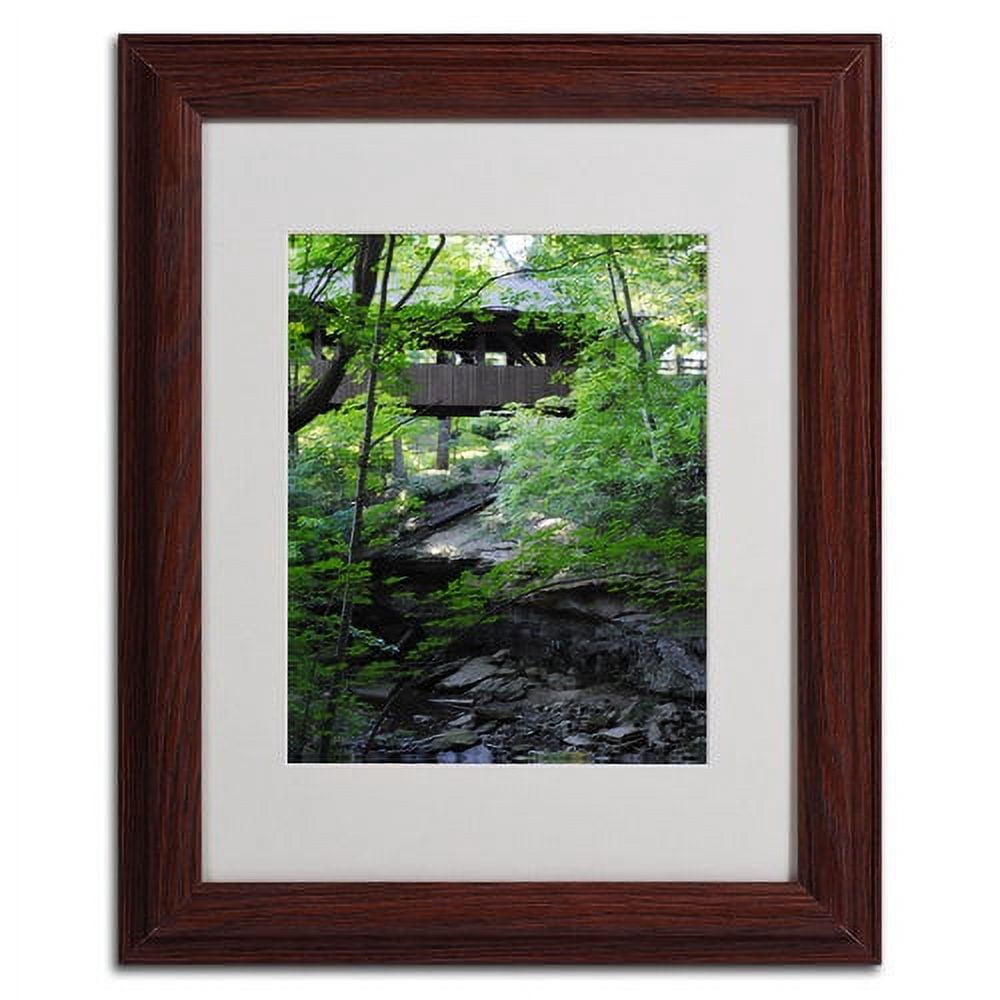Trademark Fine Art "Latent Bridge" by Monica Fleet, Wood Frame