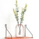 thumbnail image 4 of Maceta para plantas hidropónicas, floreros transparentes para plantas hidropónicas, florero de cristal, florero transparente de alta capacidad, 4 of 8