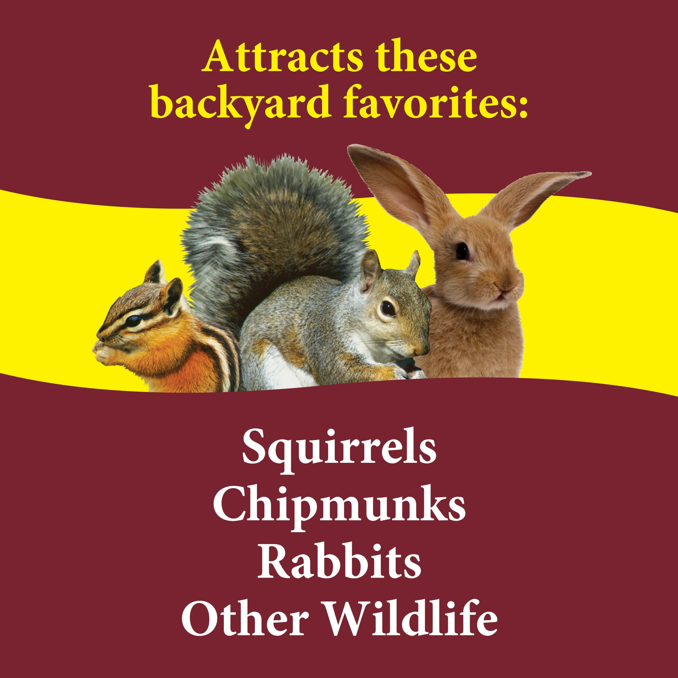 (4 pack) 3-D Pet Products Premium Squirrel and Wildlife Food, 20 lb., Dry, 1 Pack