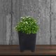 thumbnail image 1 of unbranded 6Ud Maceteros Cuadrados De Plástico Negro Para Jardinería Y Cultivo En Interiores, 1 of 6