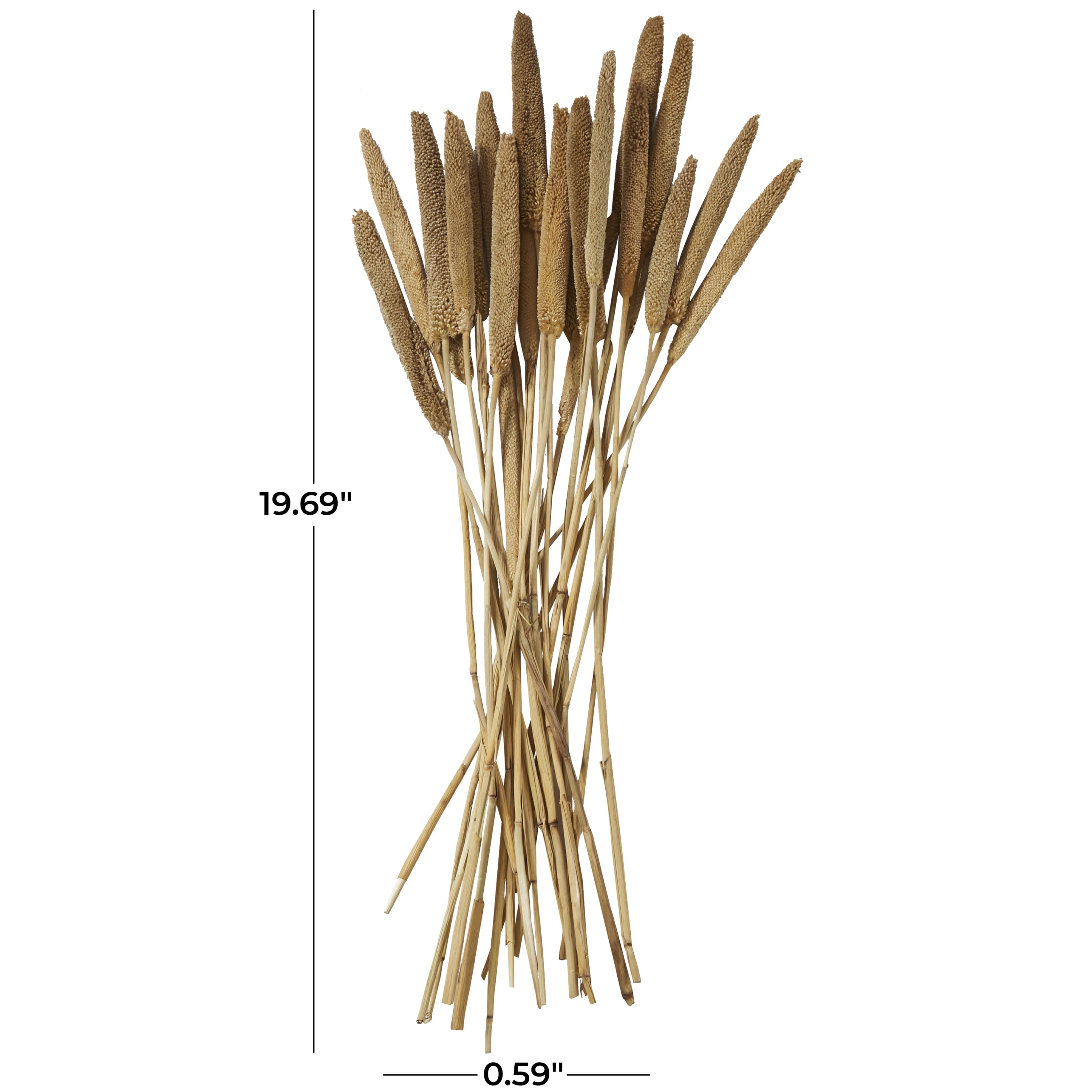 20" Dried Plant Natural Foliage Bunny Tail Bouquet with Long Stems, by DecMode