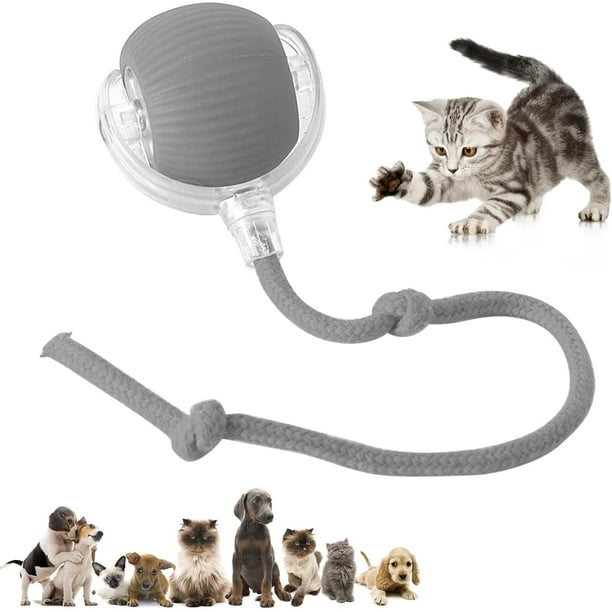 Juguete interactivo con forma de pelota para gatos, nuevo juguete automático para perros y gatos, juguetes de enriquecimiento para gatos aburridos en interiores, juguetes inteligentes con forma de