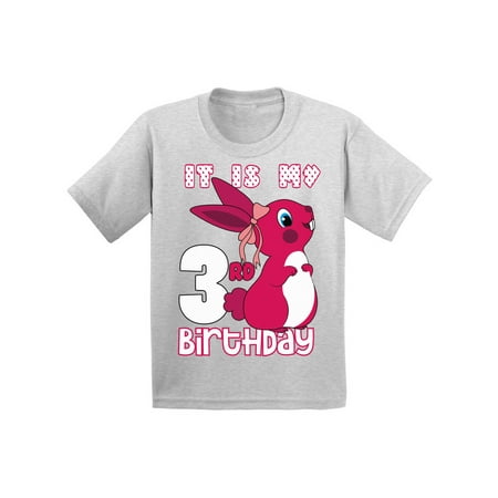 

Awkward Styles It is My 3rd Birthday T-shirt Pink Bunny Toddler Shirt Birthday Girl Tee