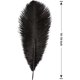 thumbnail image 2 of XmhyTop 12 plumas de avestruz azules bebé naturales a granel de 16 a 18 pulgadas, 40 a 45 cm, para centros de mesa de bodas, fiestas, Pascuas, Gatsby y decoración del hogar, plumas de avestruz, 2 of 4