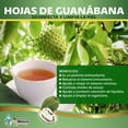 Hojas de Guanabana Herb Tea 4 oz. 113g Whole Soursop Leaves Graviola