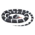 thumbnail image 4 of Wild Republic Rubber Snake, California King Toy, Educational Toys, Gifts For Kids, 26 inches, 4 of 5