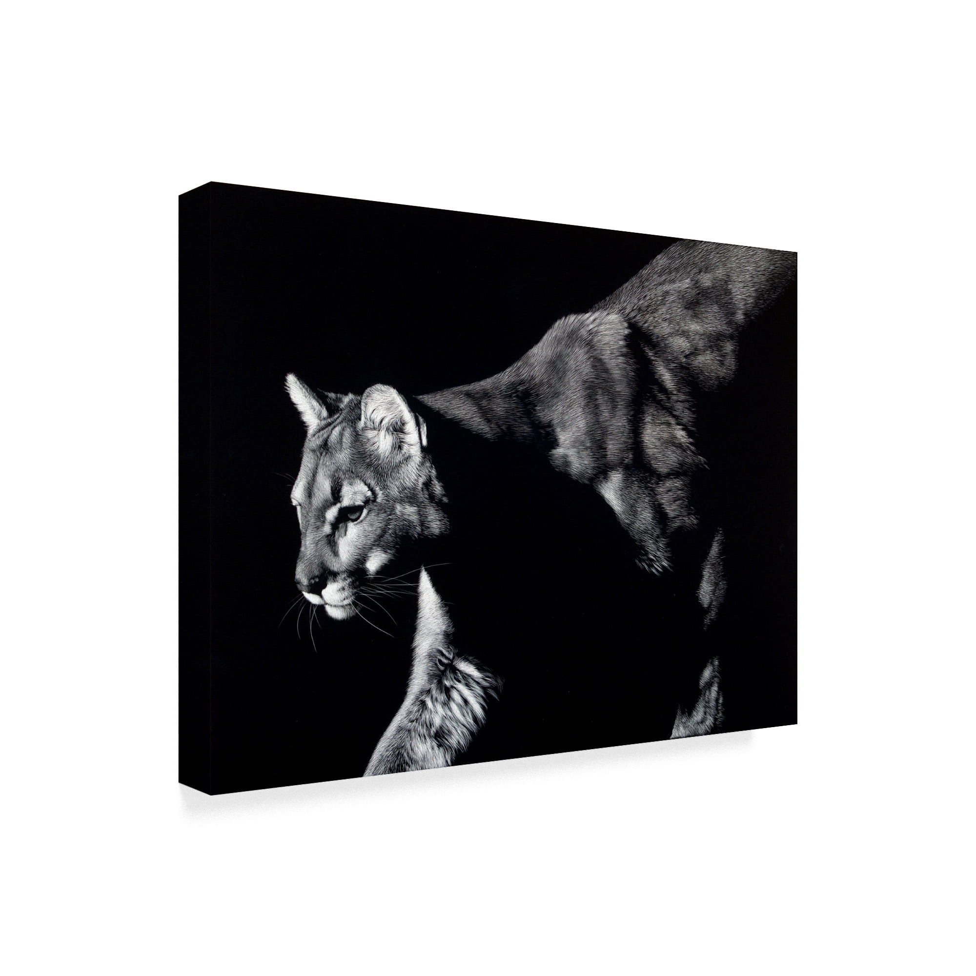 Trademark Fine Art 'Prowler Lion' Canvas Art by Julie T. Chapman