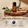 thumbnail image 4 of Aceite Esencial Gya Labs Árbol de Té 10ml Aromaterapia Aroma, 4 of 6