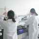 thumbnail image 4 of 2 cajas portaobjetos para microscopio con múltiples ranuras., 4 of 8