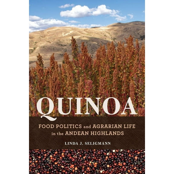 Interp Culture New Millennium: Quinoa : Food Politics and Agrarian Life in the Andean Highlands (Paperback)