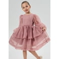 thumbnail image 6 of 2Bunnies Girls' 2T-10yr Organza Long Sleeve Tiered Babydoll Skater Princess Flower Girl Dress, 6 of 7