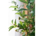thumbnail image 3 of Silk Camellia Flower Leaf Stem in Champagne Pink or Purple, 3 of 10