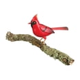 thumbnail image 2 of Regal Art  and  Gift 12274 - Songbird Decor - Cardinal Home Decor Animal Figurines, 2 of 2