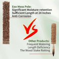 thumbnail image 4 of Climbing Plants Moss Pole Multipurpose Plant Support Rod Stable Potted Plant Support Frame, 4 of 4
