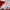Red, variant on Openpig Shower Curtains with Bath Rugs Non-Slip Soft Toilet Lid Cover for Bathroom, Waterproof Home Tub Curtains Sets with Memory Foam Rugs, 3D Print Four-Piece Red Rose Petals