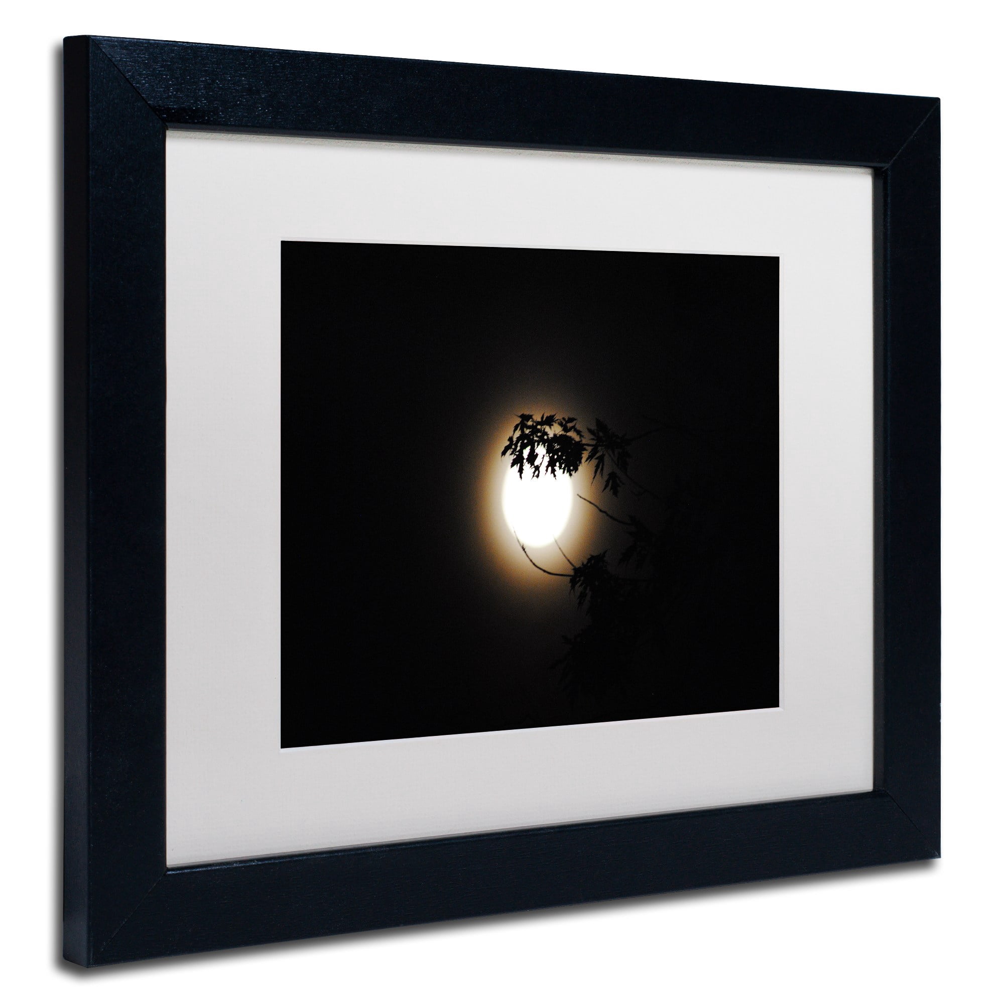 Trademark Fine Art "Howl" Canvas Art by Monica Mize, White Matte, Black Frame