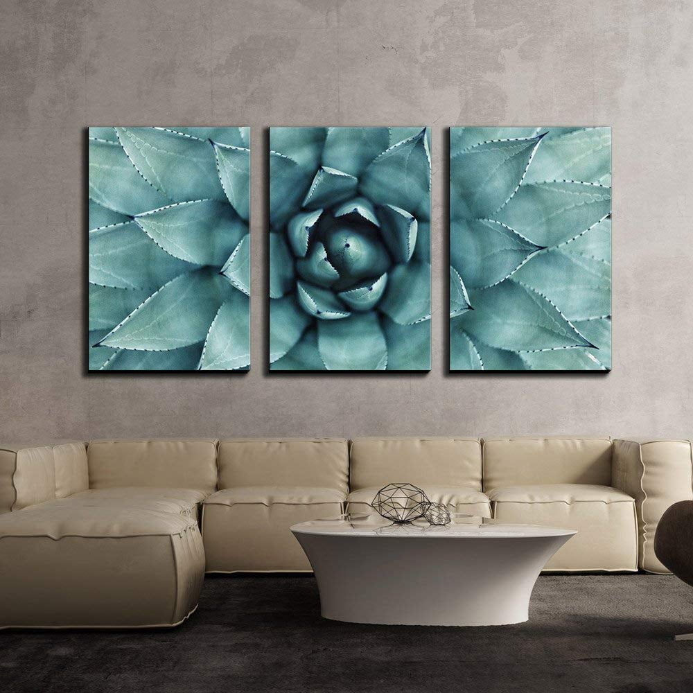 Wall26 3 Piece Canvas Wall Art - Sharp Pointed Agave Plant Leaves ...