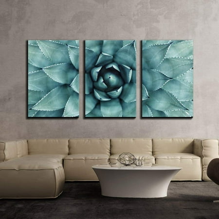 wall26 - 3 Piece Canvas Wall Art - Sharp Pointed Agave Plant Leaves - Modern Home Decor Stretched and Framed Ready to Hang - 24