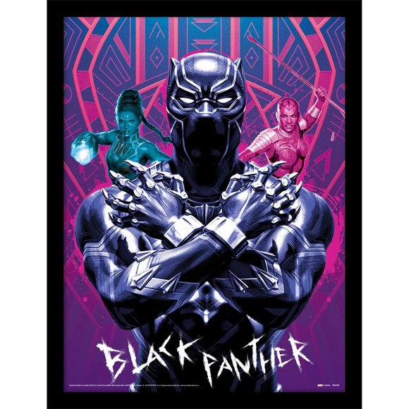 Black Panther Poster