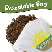 100% Natural Pine Bark Mulch Nuggets (12 Quarts), Small Mulch Chips for Indoor/Outdoor Container Gardening, Ideal for Soil Supplement, Houseplant Mulch, and Terrariums