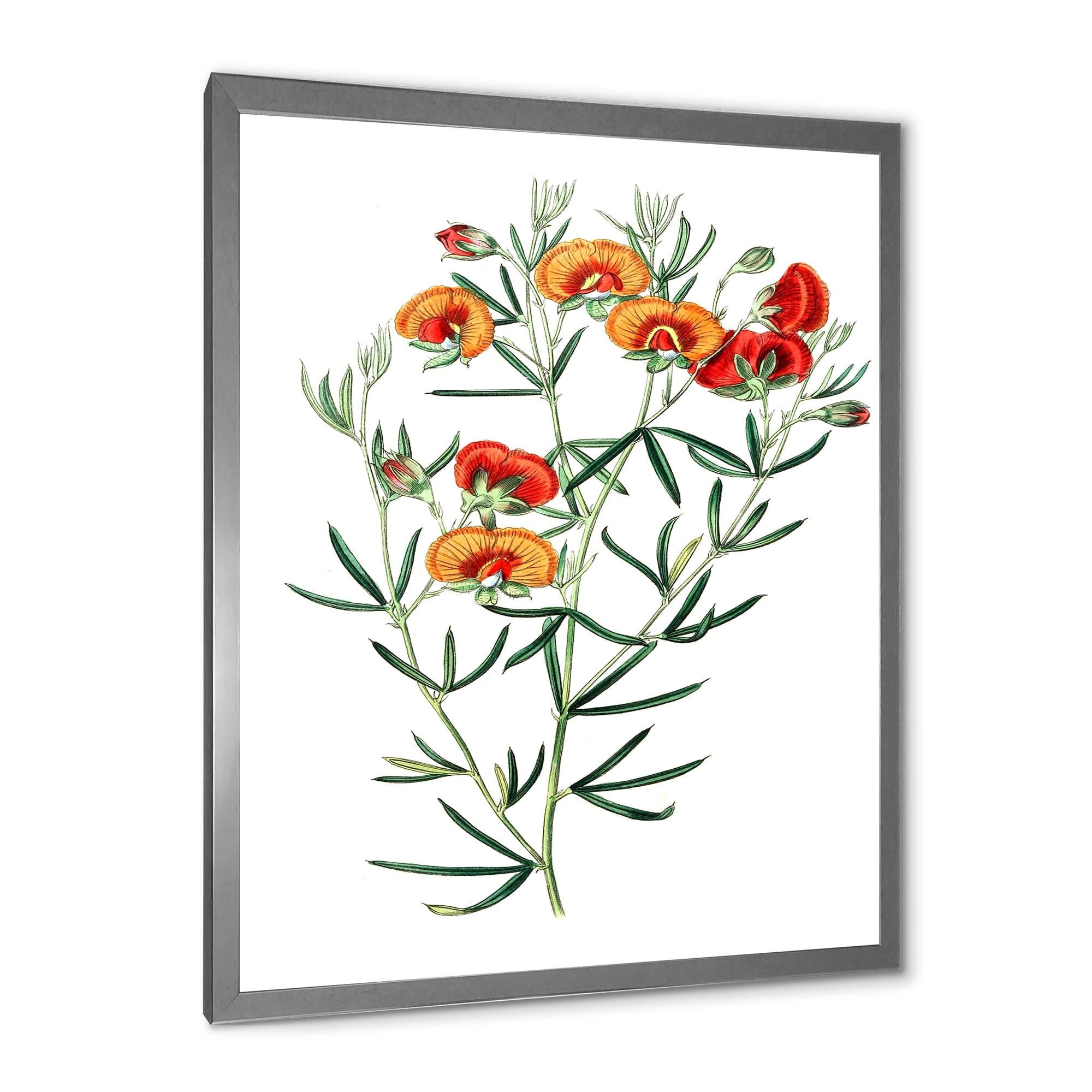 Designart 'Ancient American Flora VIII' Traditional Framed Art Print