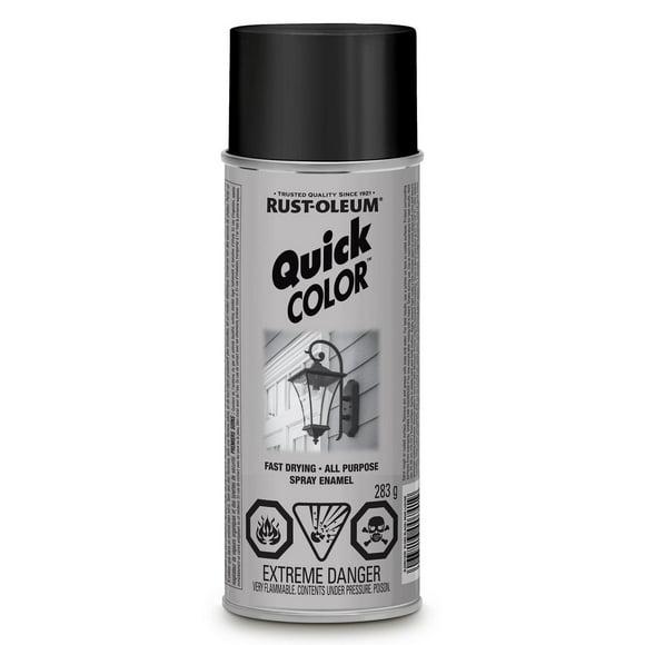 Vaporisateur de couleur rapide Rust-Oleum Specialty en noir lustre 283g