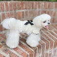 thumbnail image 4 of AURORA TRADE Dog Dress Cute Pet White Lace Tutu Dress Summer Pet Princess Dress with Elegant Bow Pet Apparel for Puppy Dogs Cats Spring Summer Wedding Holiday, 4 of 8