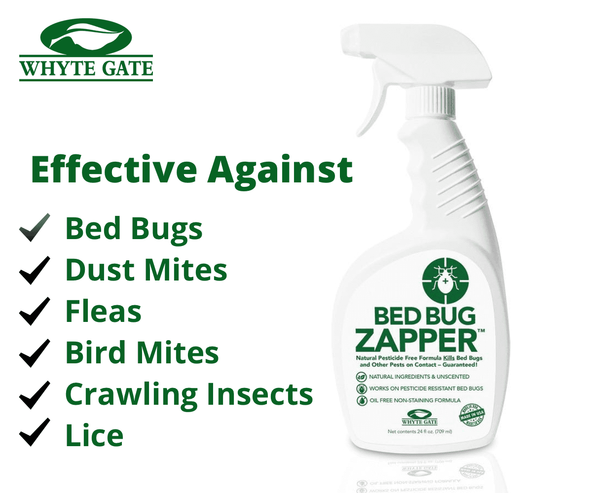 Bed Bug Zapper™ Gallon - 2 Pack