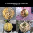 thumbnail image 4 of 10pack/lot Transparent For Easy Plant Rooting And Propagation - Durable And Reusable Rooting Ball Grafting No Damage 10piece Secure Lock Plant Rooting Ball For Grafting And Propagation - No Damage To, 4 of 9