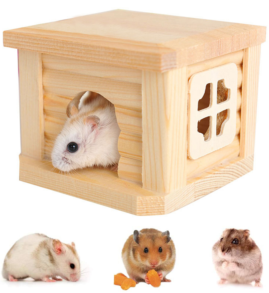 miniature hamster cage