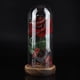 thumbnail image 1 of Rosa del Principito Ecomeon flor de rosa eterna preservada con Cadena LED en cúpula de vidrio rojo, 1 of 6